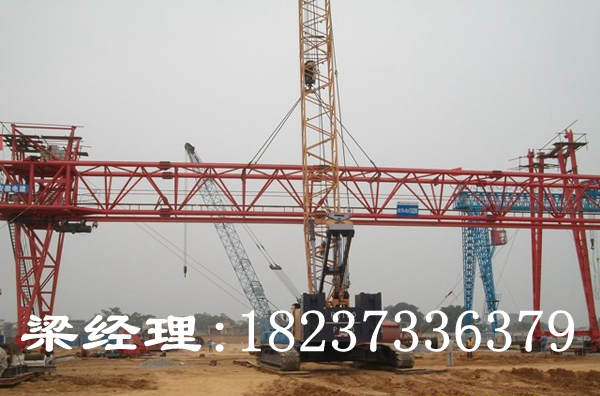 廣東廣州門式起重機廠家質量過硬放心品牌