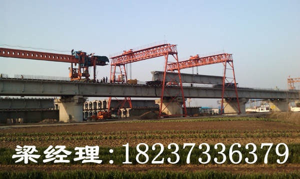 海南?？陂T式起重機廠家設備性能優越