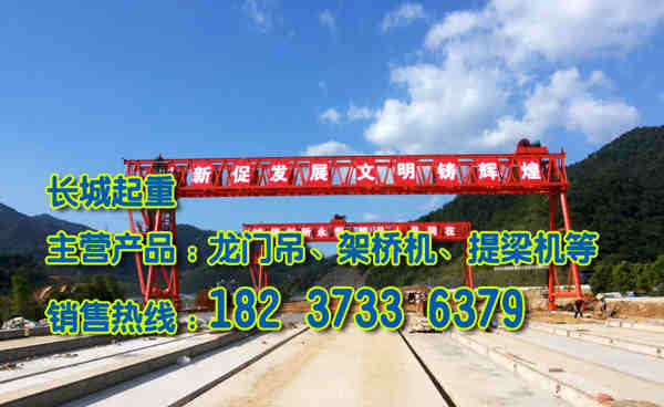 山東濰坊龍門吊公司生產(chǎn)工藝精湛