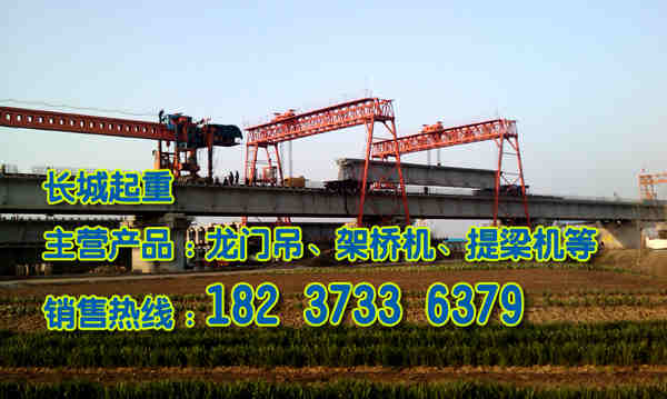 湖南株洲龍門吊廠家設(shè)備物美價(jià)廉