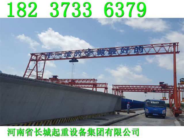 甘肅武威龍門吊廠家起重工業園區